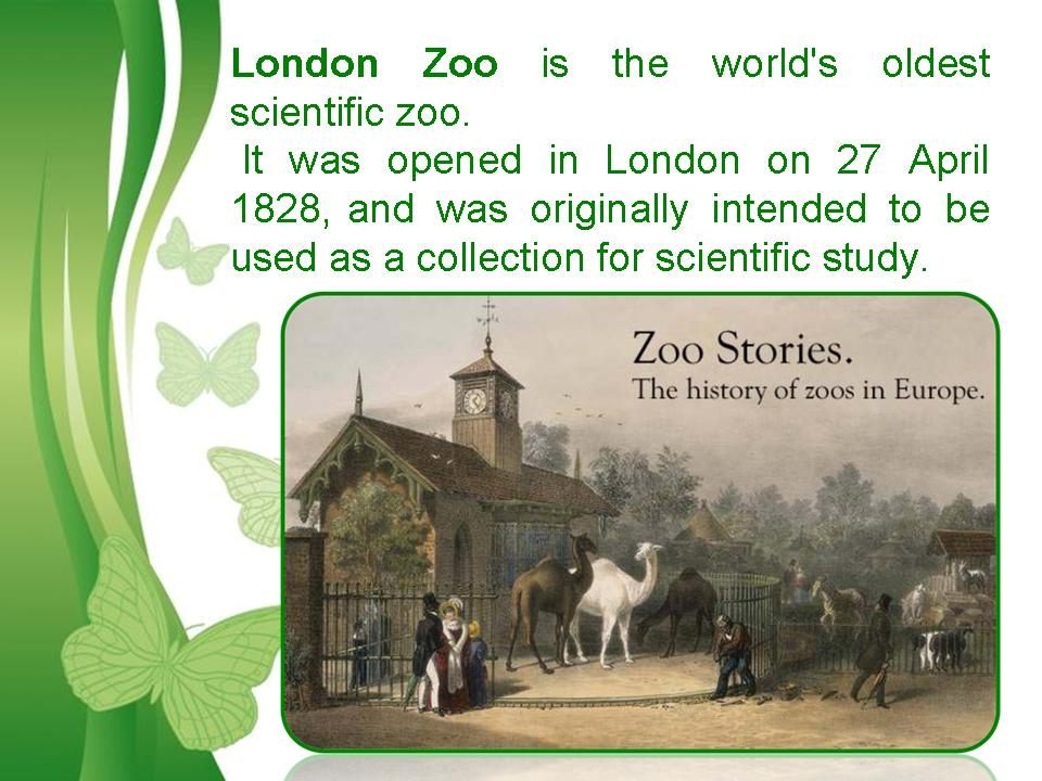 Рассказ london zoo на английском с переводом 6 класс